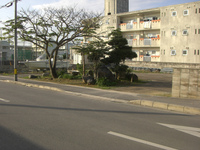 真栄里売地